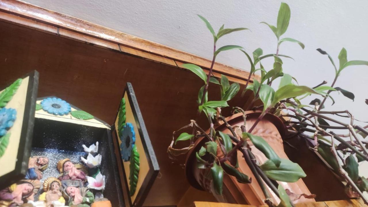 Brizio Séjour chez l'habitant *